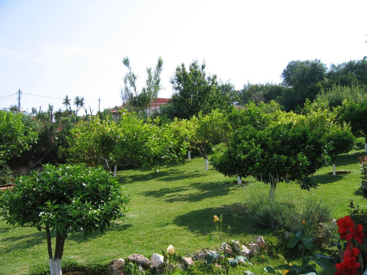 Tara Beach Hotel Skala  Eksteriør billede